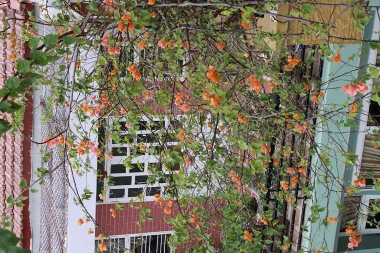 Phong Lan Guesthouse Hue Δωμάτιο φωτογραφία