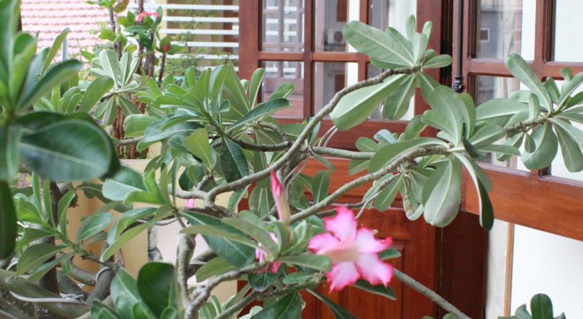 Phong Lan Guesthouse Hue Εξωτερικό φωτογραφία